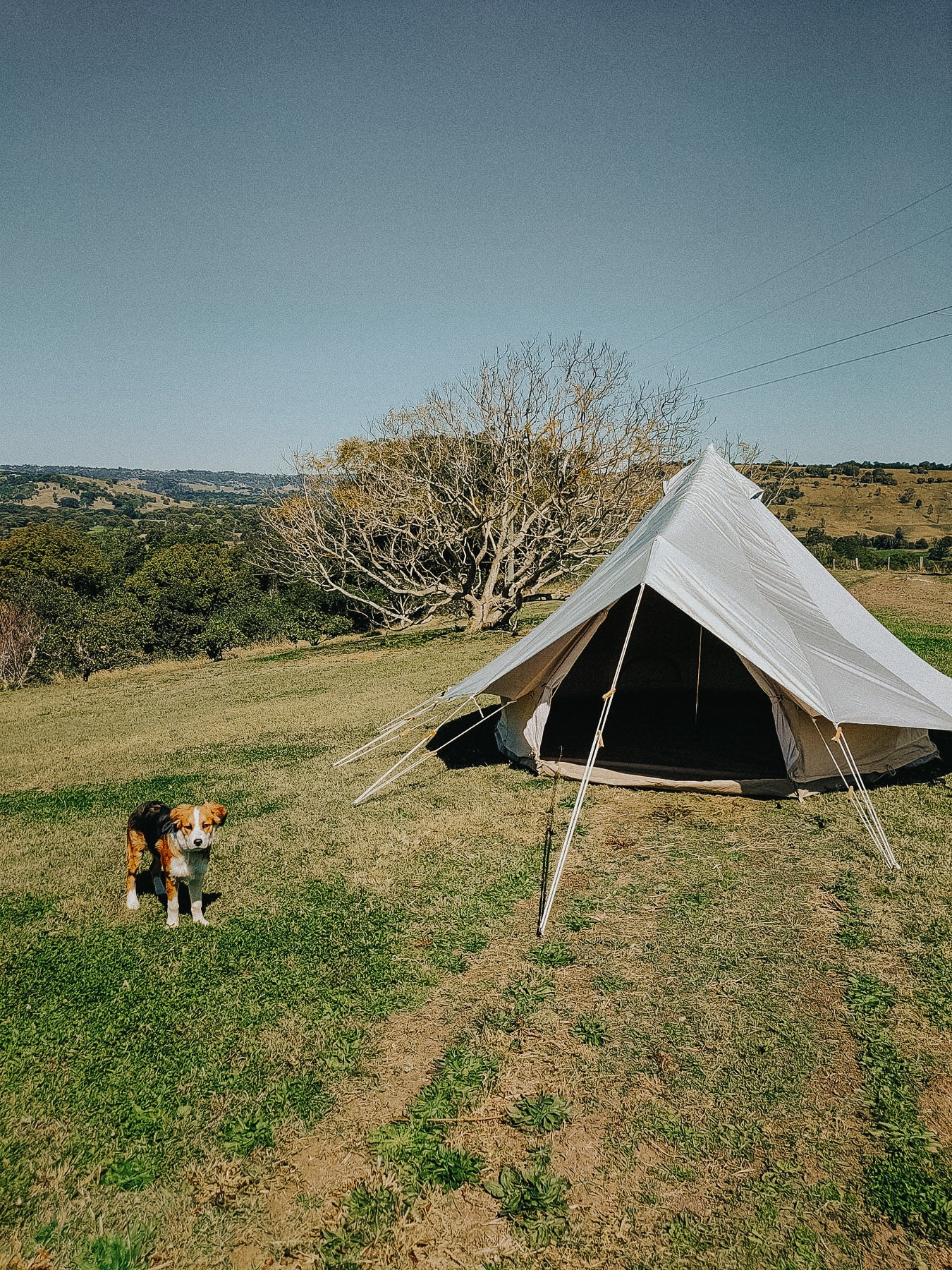 EarthShell Bell Tent Protector